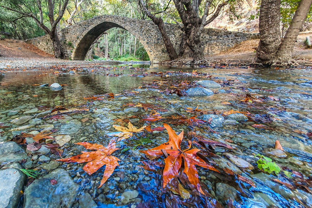 visitare Cipro in autunno ponte con foglie