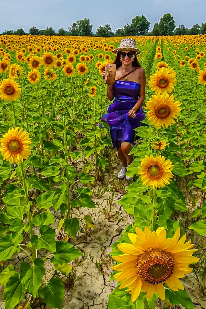 ragazza fra i girasoli