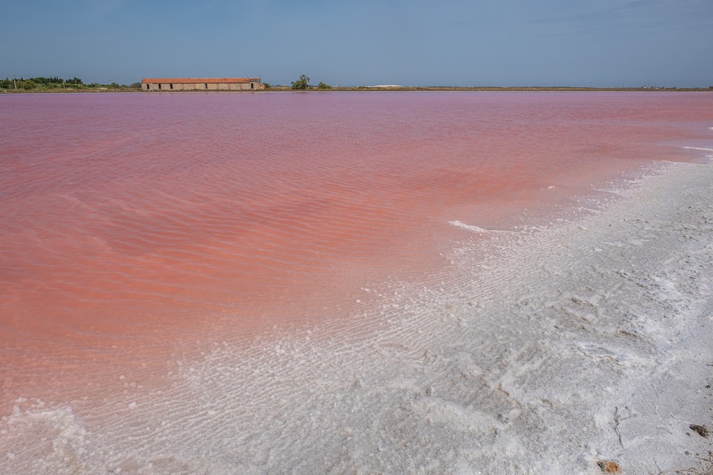 Due giorni in Camargue salina rosa