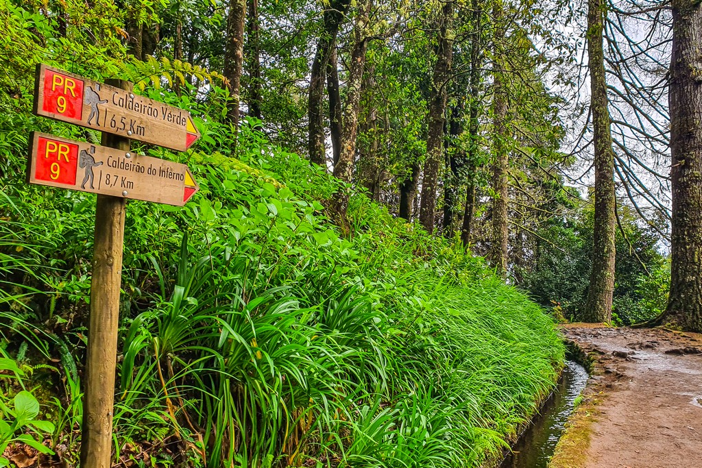 Fare trekking a Madeira levada con indicazioni