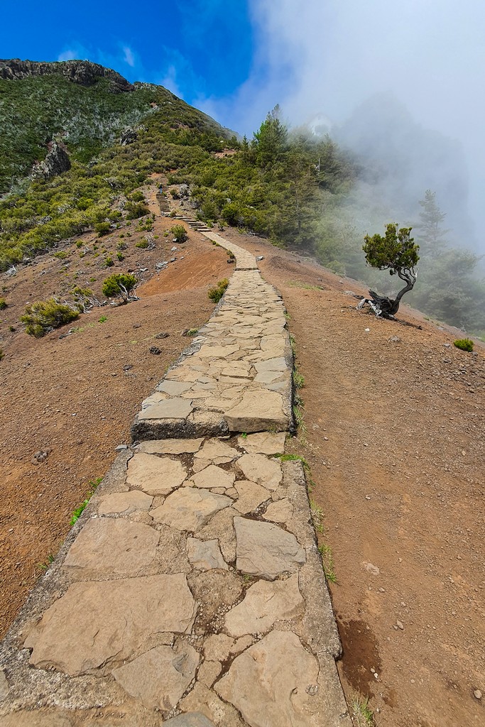 I trekking di Madeira