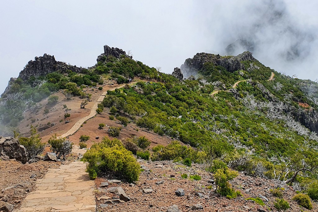 Guida alla Vereda do Pico Ruivo cime e sentiero