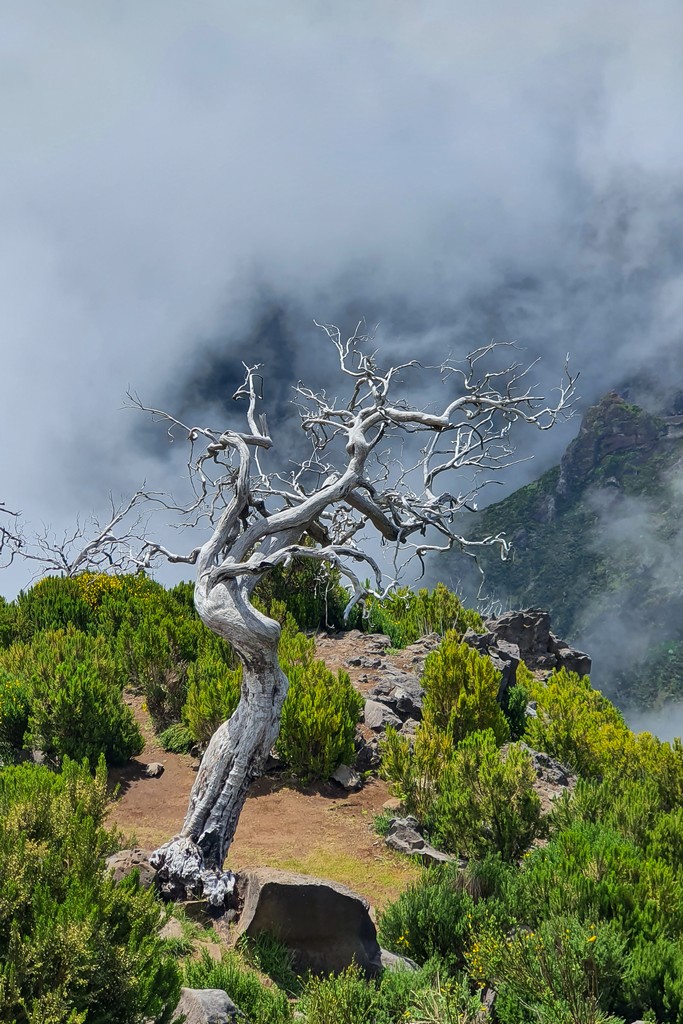 I trekking di Madeira