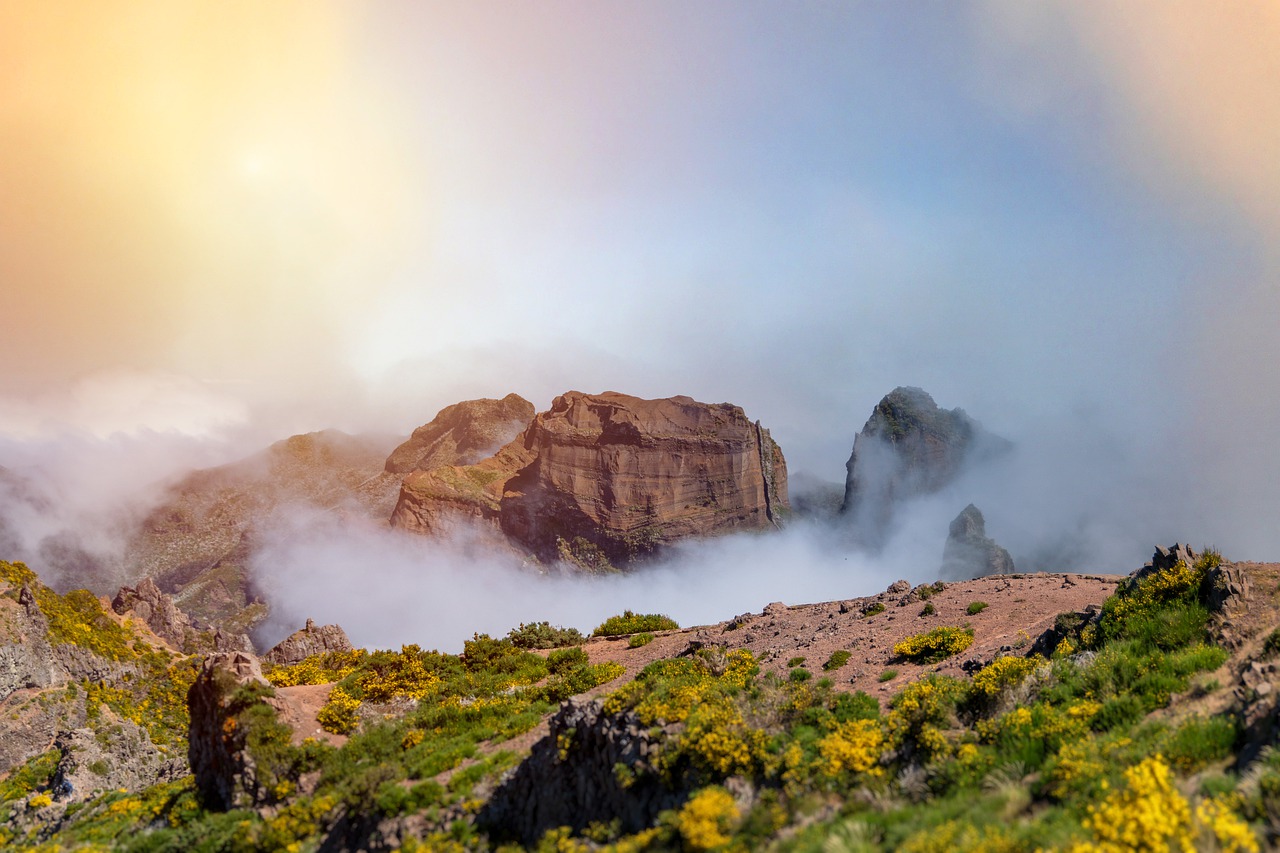 Guida alla Vereda do Pico Ruivo, PR1.2: trekking a Madeira