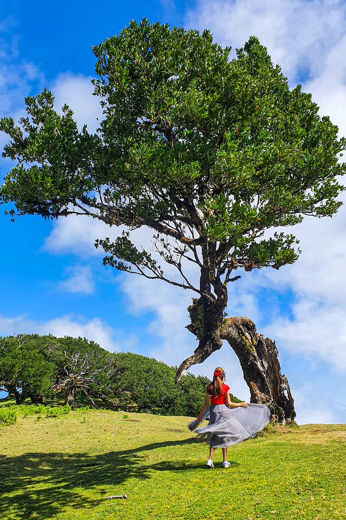 ragazza con alberi storti