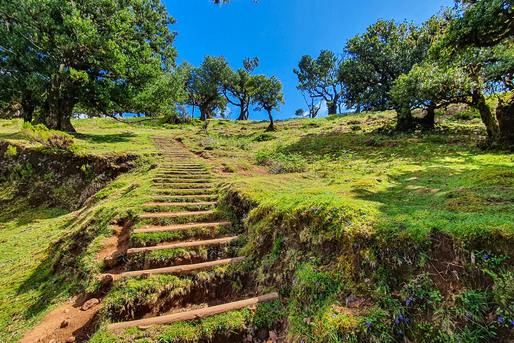 I trekking di Madeira sentiero con gradini