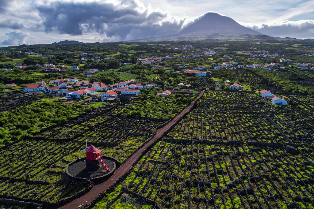 Cosa vedere a Pico mulino con vigneti