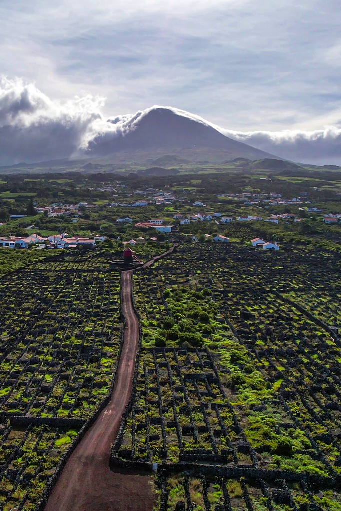 Cosa vedere a Pico vulcano e vigneti