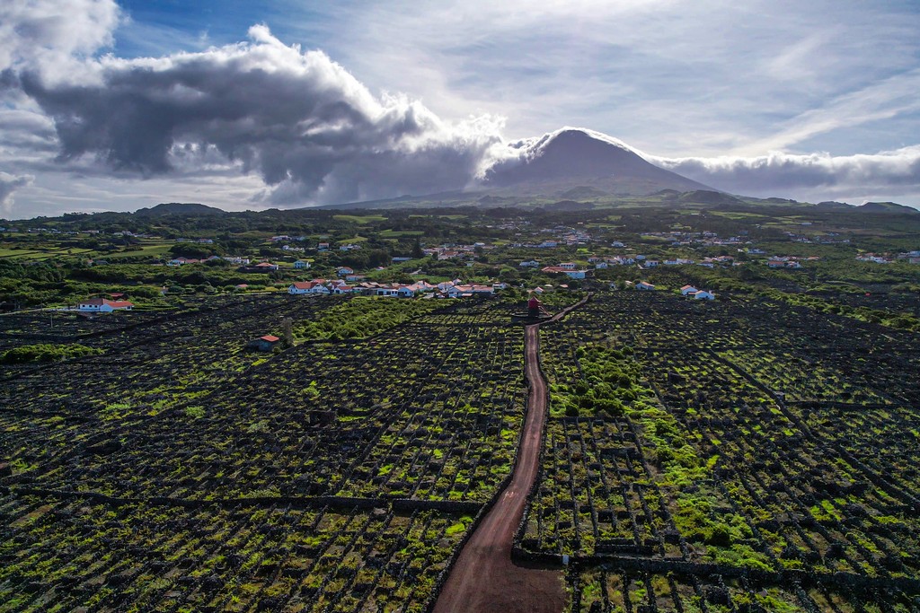 Cosa vedere a Pico vigneti e vulcano