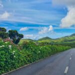 Noleggiare un’auto alle Azzorre strada verso pico