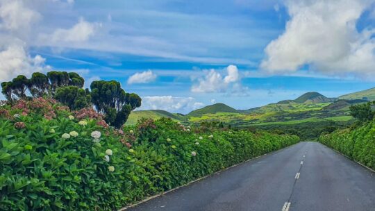 Noleggiare un’auto alle Azzorre strada verso pico