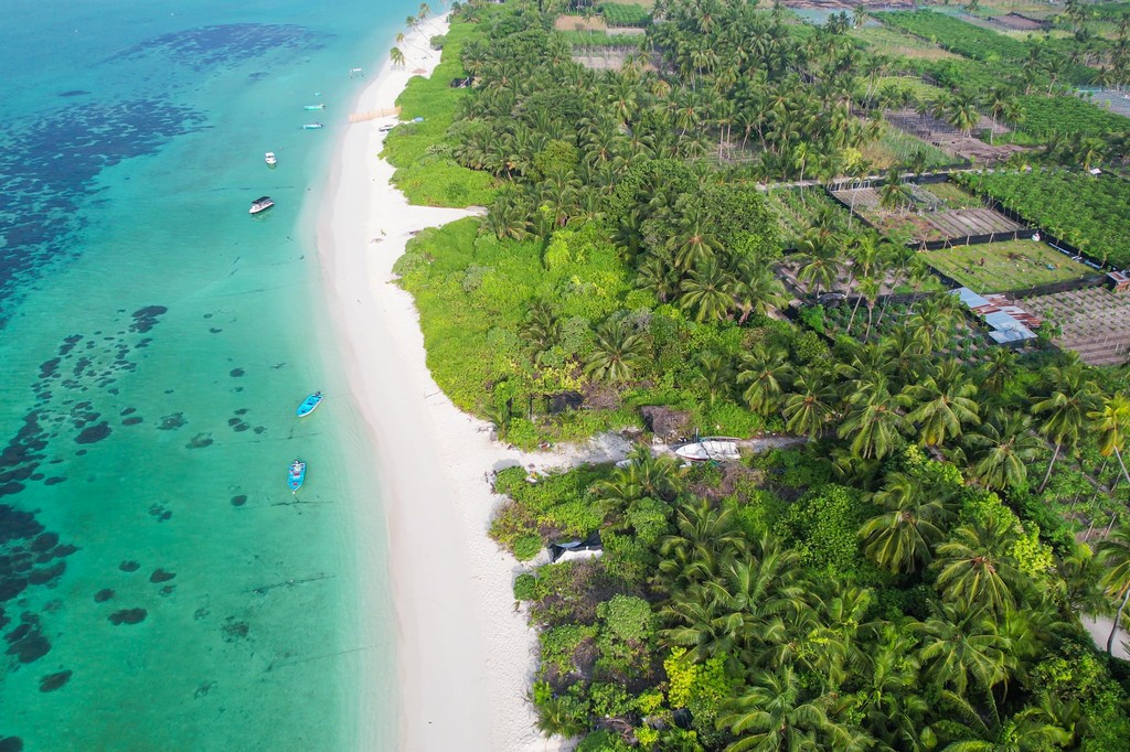 Maldive a Thoddoo spiaggia dal drone