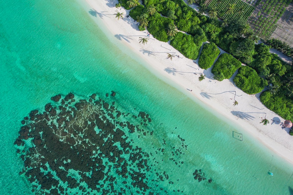 Maldive a Thoddoo spiaggia dal drone