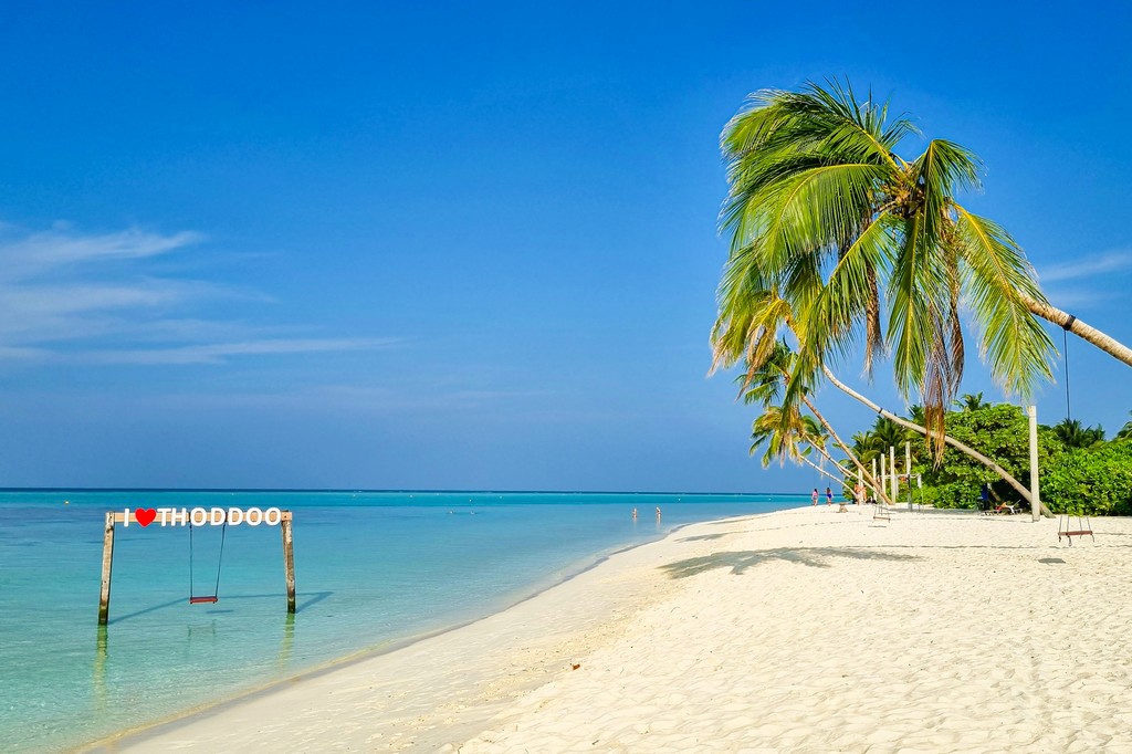 Maldive a Thoddoo spiaggia con palme