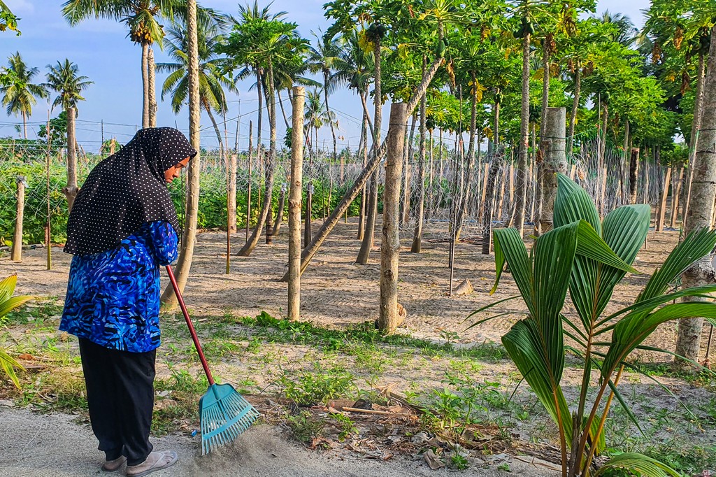 Maldive a Thoddoo donna pulisce la strada