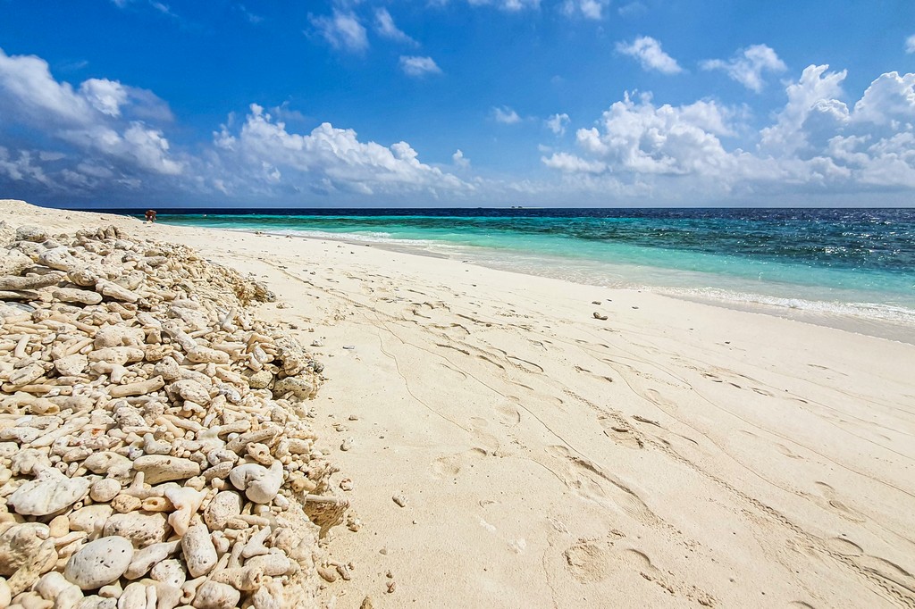 spiaggia con coralli