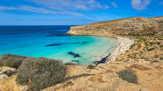 la spiaggia dei conigli a lampedusa