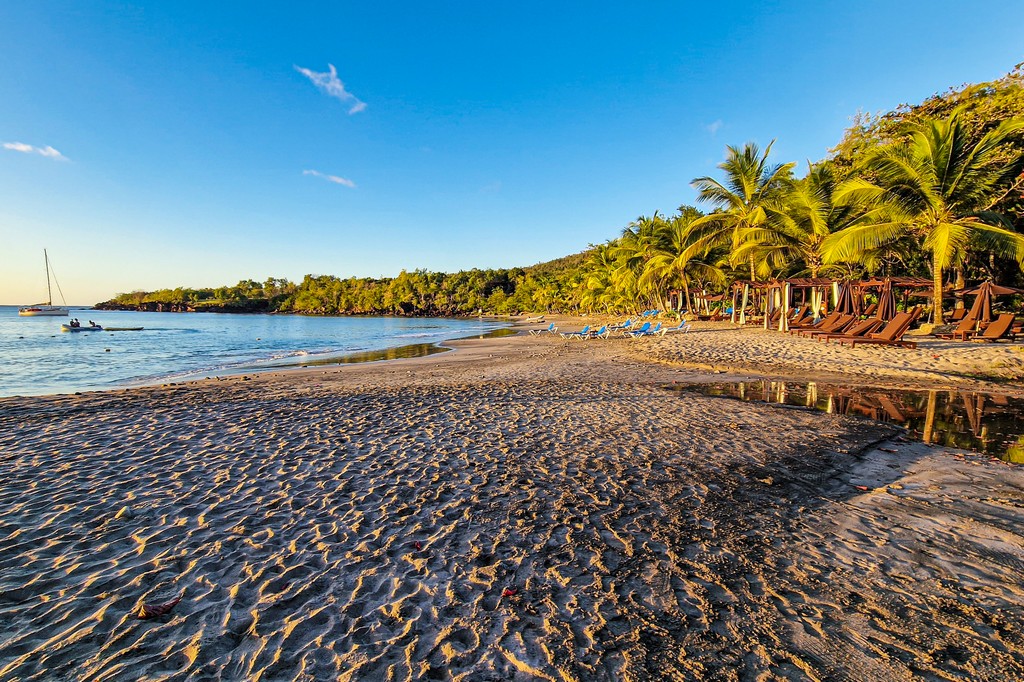 migliori spiagge di Saint Lucia spiaggia con palme