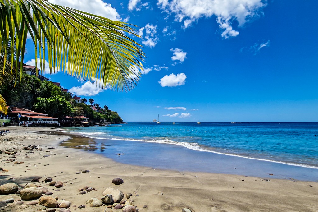 Anse Cochon a Saint Lucia spiaggia con palma