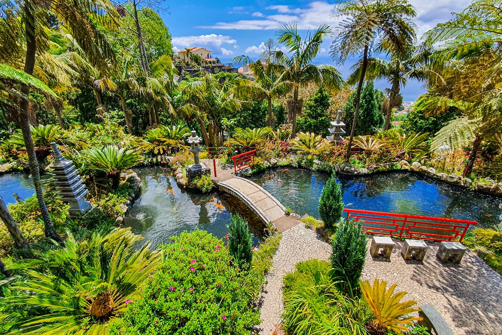 luoghi più instagrammabili di Madeira giardino verde
