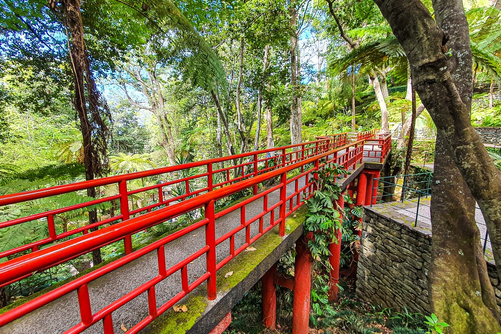 Visita al Monte Palace Tropical Garden 
 giardino giapponese