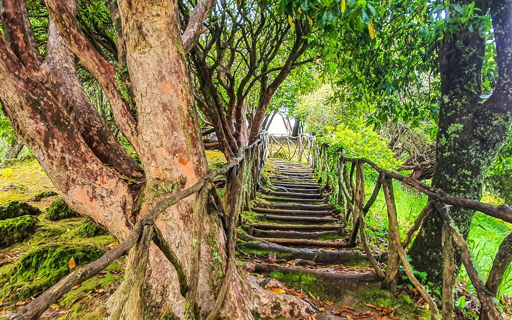 10 luoghi da non perdere a Madeira bosco con scalinata
