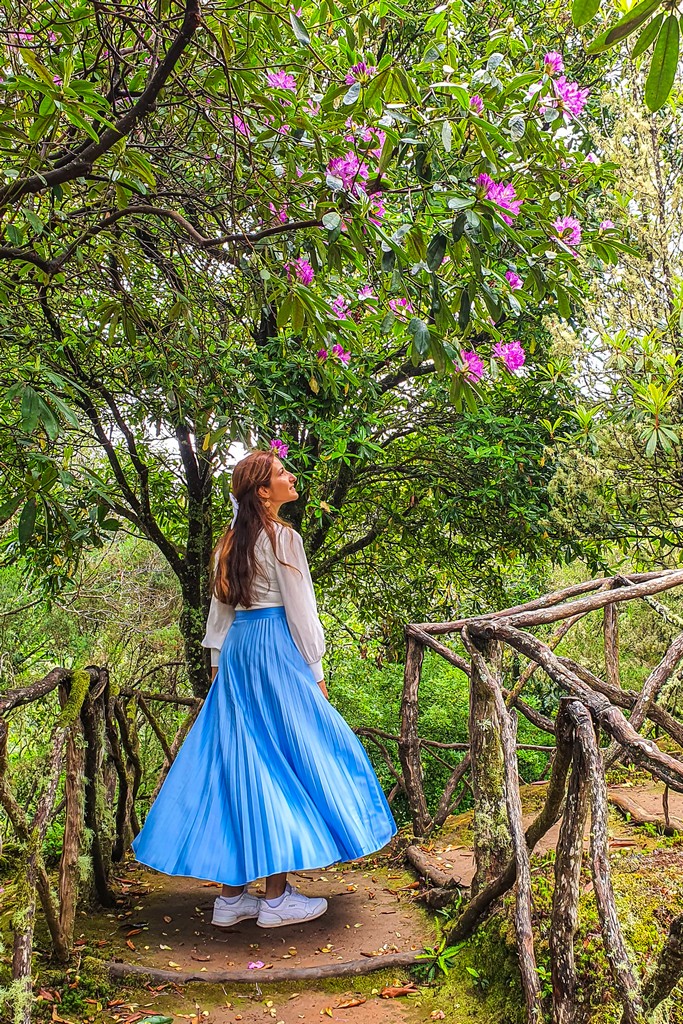 luoghi più instagrammabili di Madeira ragazza con fiori
