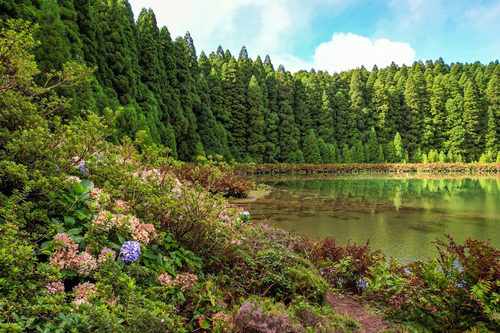 come organizzare un viaggio alle Azzorre alberi e fiori con lago