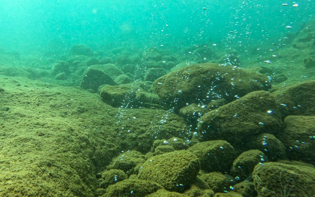 nuotare a champagne reef dominica