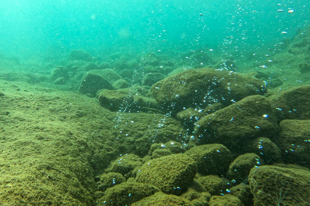 Nuotare a Champagne Reef, fra le bollicine di Dominica 
