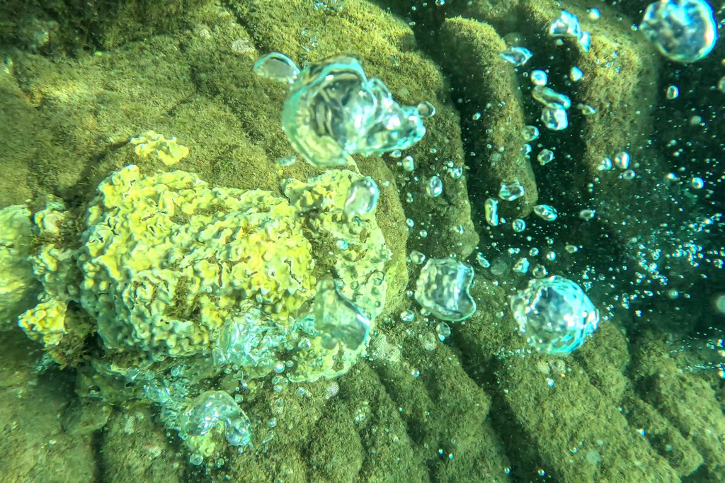 Nuotare a Champagne Reef  rocce con bollicine