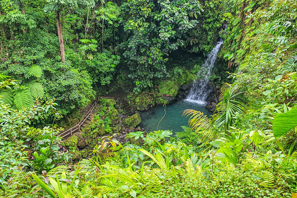 Visita alla Emerald Pool a Dominica cascata vista dall'alto
