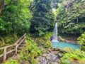 Visita alla Emerald Pool a Dominica
