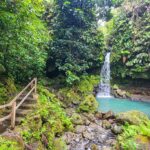 Visita alla Emerald Pool a Dominica