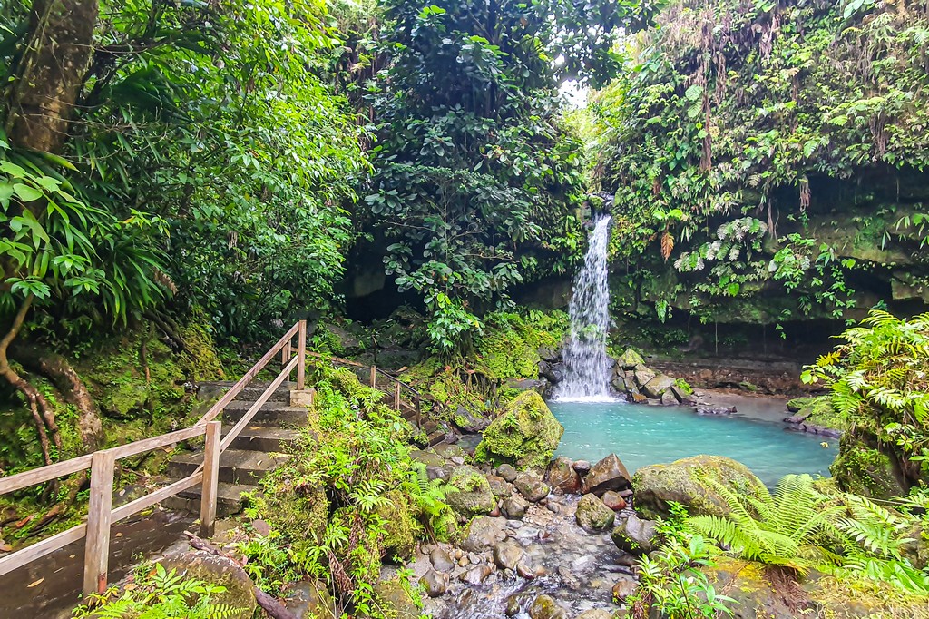 Visita alla Emerald Pool a Dominica