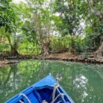 l'indian river a Dominica