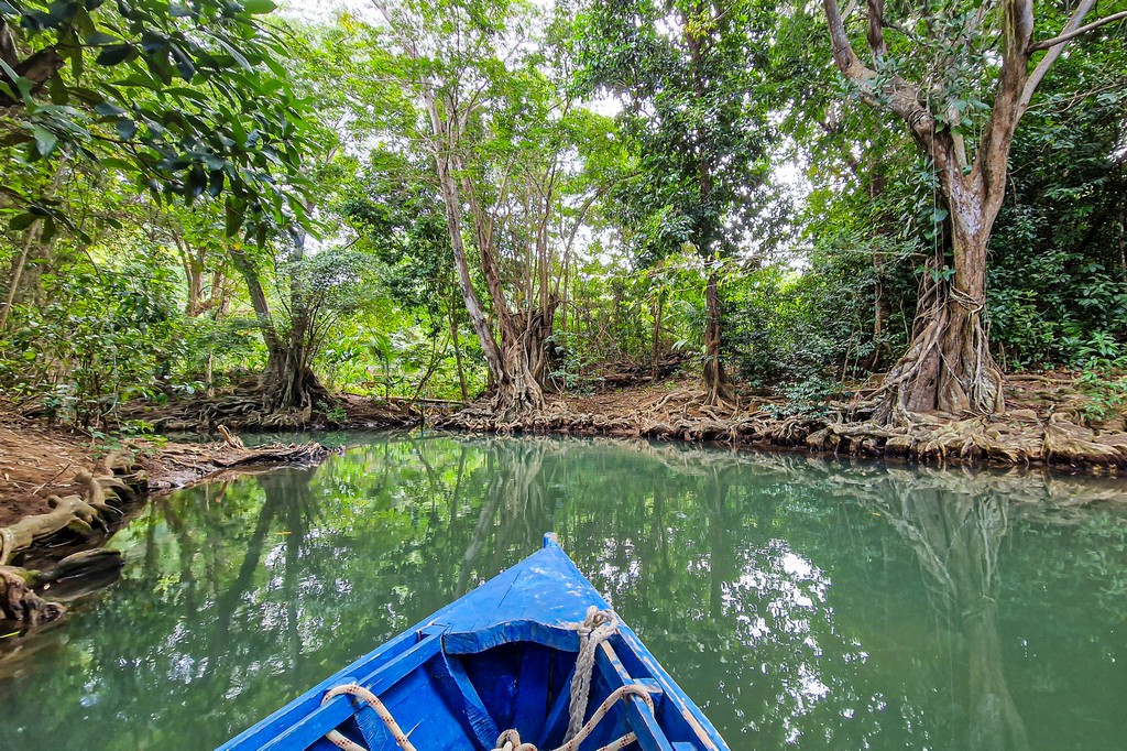 L’Indian River a Dominica, sulle orme di Pirati dei Caraibi 