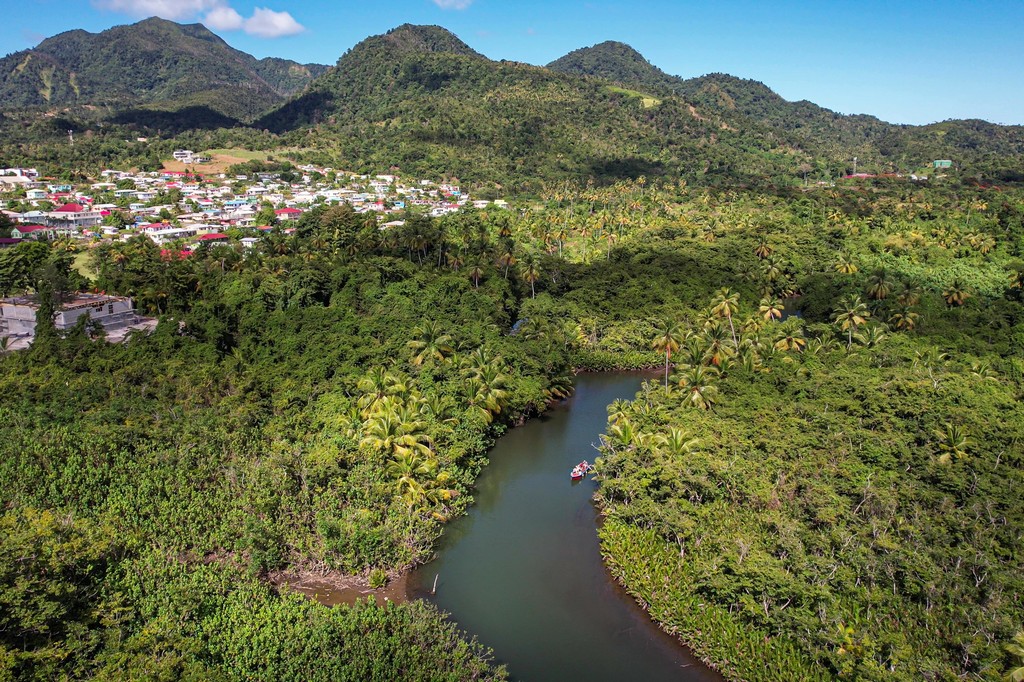 L’Indian River a Dominica indian river dall'alto