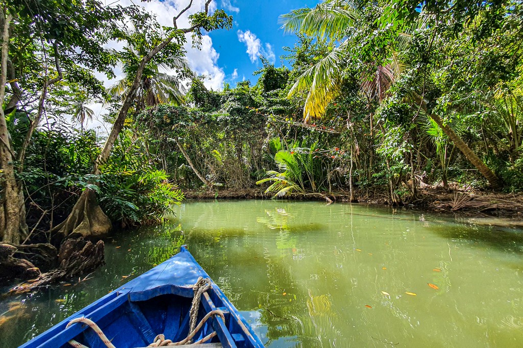 L’Indian River a Dominica barchetta sul fiume