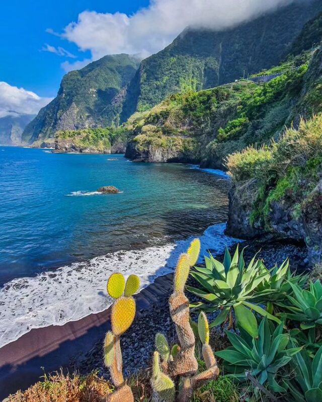 Madeira, la conoscete?⁣
⁣
Questa settimana vi portiamo a scoprire una delle isole più affascinanti d’Europa: la splendida Madeira.⁣
⁣
Madeira si trova nell’Oceano Atlantico, poco sopra le Canarie e appartiene al Portogallo.⁣
⁣
Nuovi low cost rendono più semplice raggiungerla, ma speriamo che tutto questo nuovo turismo non la snaturi troppo.⁣
⁣
Certo è che Madeira è un’isola dalle mille sorprese e scoperte, un’isola dai mille volti e dalle mille bellezze…⁣
⁣
Ci siete mai stati?⁣
⁣
⁣
⁣
⁣
⬇️⬇️⬇️⁣
Salva il post per il tuo prossimo viaggio! ⁣
E se ti è piaciuto condividilo! ⁣
⁣
Follow @viaggidafotografare⁣
Scopri Madeira sul sito www.viaggidafotografare.it ⁣
⬆️⬆️⬆️⁣
 ⁣
⁣
 ⁣
⁣
#voyage #photography #viaggidafotografare #viaggiaresempre #photooftheday #travelphotography #travelblogger #madeira #madeiranowordsneeded #madeiraisland #sea #nature #island #islandlife #portugal⁣
@visitmadeira @madeira_islands